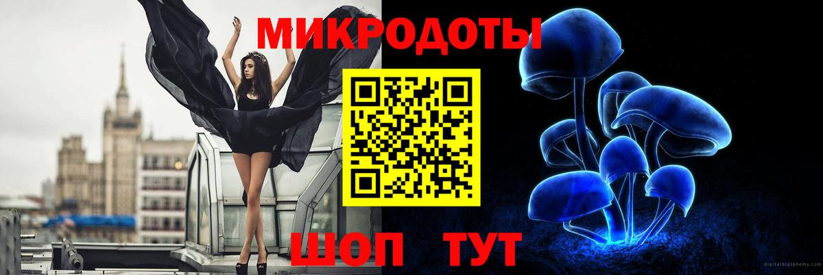 Дзержинский  Псилоцибиновые грибы GOLDEN TEACHER  Вход с VPN  Псилоцибиновые грибы Psilocybe 